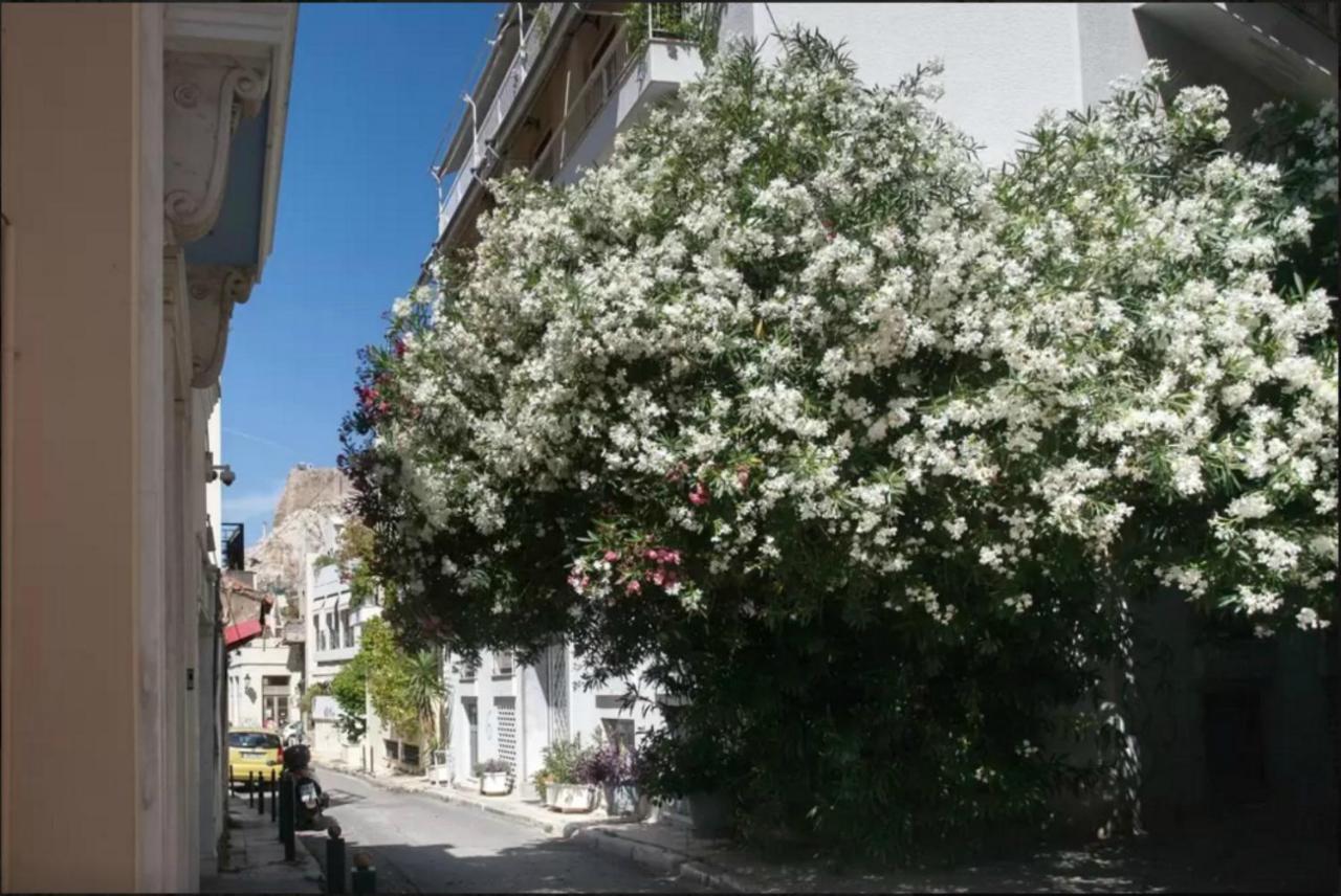 Nephiria, Back To Tradition, In The Heart Of Plaka! Lägenhet Aten Exteriör bild